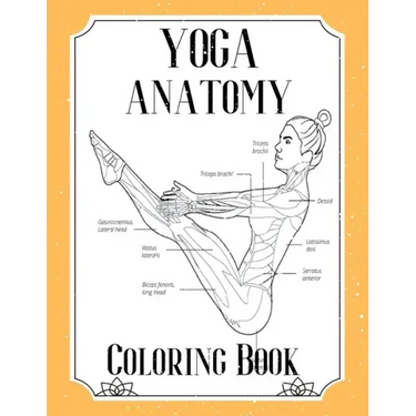 Yoga Anatomy Coloring Book: Visual Guide Movement Yoga Poses Coloring Book
