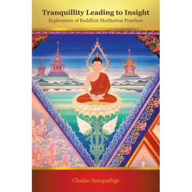 Tranquillity Leading to Insight: Exploration of Buddhist Meditation Practices