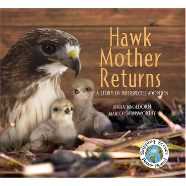 Hawk Mother Returns: A Story of Interspecies Adoption