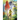 Robin Hood: a legendary heroic outlaw originally depicted in English folklore and subsequently featured in literature and film. According to legend, h