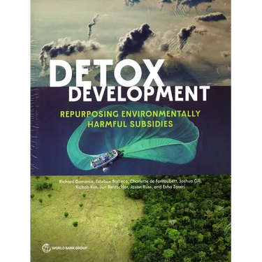 Detox Development: Repurposing Environmentally Harmful Subsidies