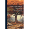 The Evergreen Trees Of Colorado
