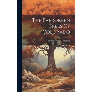 The Evergreen Trees Of Colorado