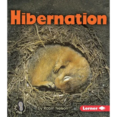 Hibernation
