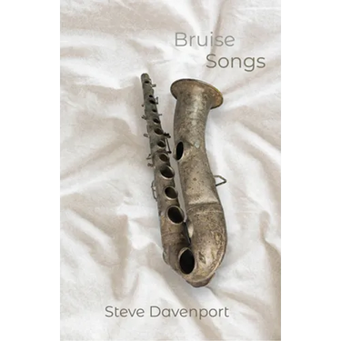Bruise Songs