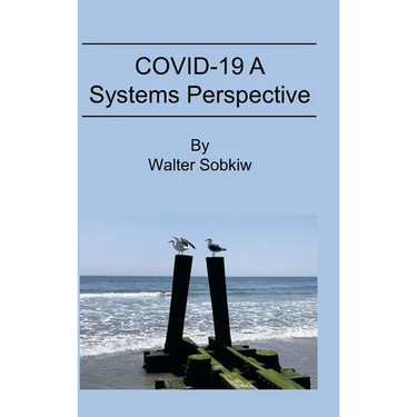 COVID-19 A Systems Perspective