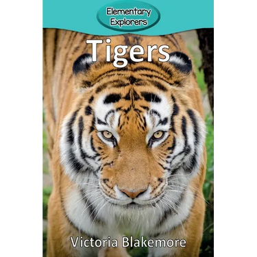 Tigers