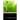 The Folk-lore of Plants