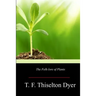 The Folk-lore of Plants