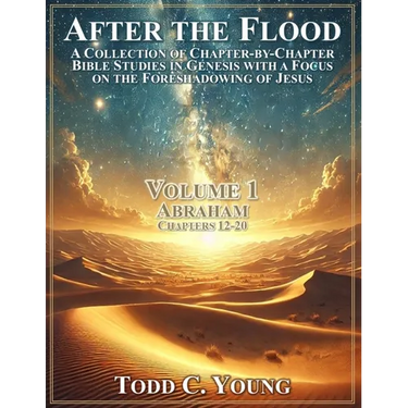 After the Flood: A Collection of Chapter-by-Chapter Bible Studies in Genesis with a Focus on the Foreshadowing of Jesus
