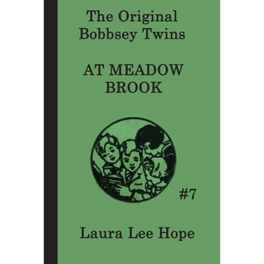 The Bobbsey Twins at Meadow Brook