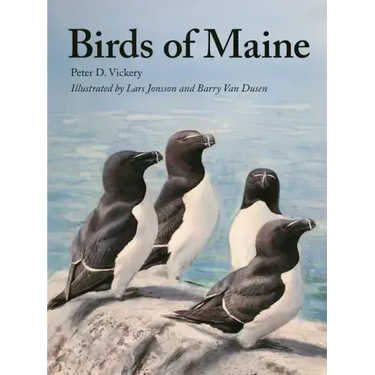 Birds of Maine