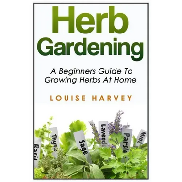 Herb Gardening: A Beginners Guide To Growing Herbs At Home
