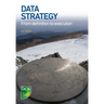 Data Strategy: From definition to execution