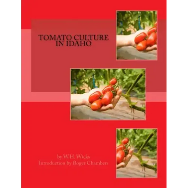 Tomato Culture in Idaho