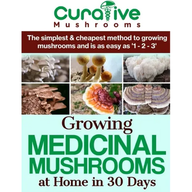 Growing Medicinal Mushrooms At Home The Easy Way: The Simplest & Cheapest Way To Grow Medicinal Mushrooms At Home Even If You Have Never Grown Anythin