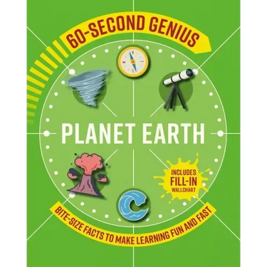 Planet Earth: Bite-Size Facts to Make Learning Fun and Fast