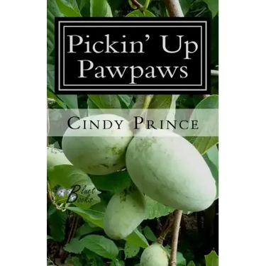 Pickin' Up Pawpaws