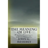 The Meaning of Life: Religious, Philosophical, Transhumanist, and Scientific Perspectives