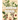 A Modern Herbal (Volume 1, A-H): The Medicinal, Culinary, Cosmetic and Economic Properties, Cultivation and Folk-Lore of Herbs, Grasses, Fungi, Shrubs