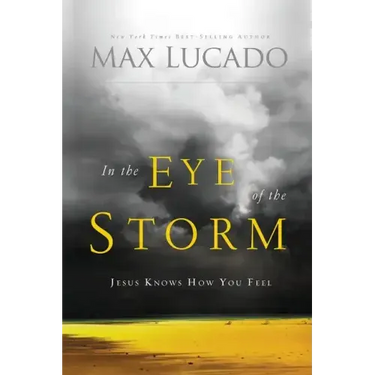 In the Eye of the Storm: Jesus Knows How You Feel