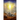 The Night I Saw the Light of Jesus Christ