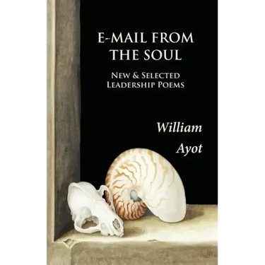 E-Mail From The Soul: New & Selected Leadership Poems