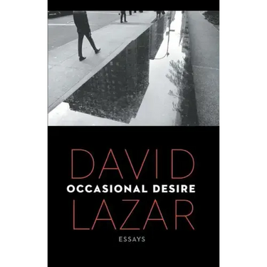 Occasional Desire: Essays