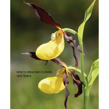 How to Draw Wild Flowers (Replica Edition)
