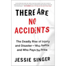 There Are No Accidents: The Deadly Rise of Injury and Disaster--Who Profits and Who Pays the Price