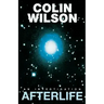 Afterlife: An Investigation
