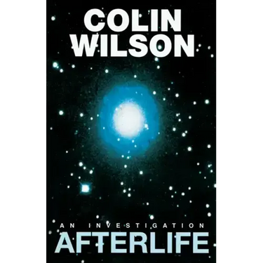 Afterlife: An Investigation