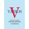 Vairos Executive Game Plan