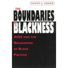 The Boundaries of Blackness: AIDS and the Breakdown of Black Politics