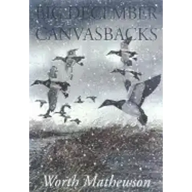 Big December Canvasbacks, Revised