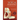 Yoga Anatomy