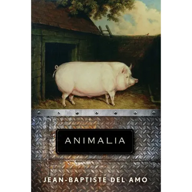 Animalia