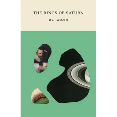 The Rings of Saturn