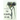 The Flowers of Evil