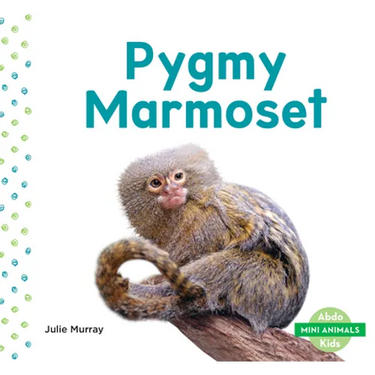 Pygmy Marmoset