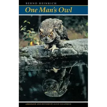 One Man's Owl: Abridged Edition