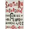 Southern Insurgency: The Coming of the Global Working Class