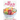 50 Popsicle Recipes: Making Popsicles; Popsicle Recipe Book