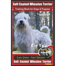 Soft Coated Wheaten Terrier Training Book for Dogs & Puppies by BoneUp Dog Training: Are You Ready to Bone Up? Simple Steps Fast Results Soft Coated W
