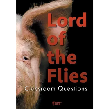 Lord of the Flies Classroom Questions
