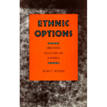 Ethnic Options: Choosing Identities in America