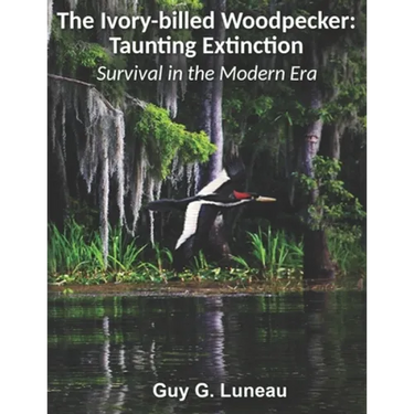 The Ivory-billed Woodpecker: Taunting Extinction: Survival in the Modern Era