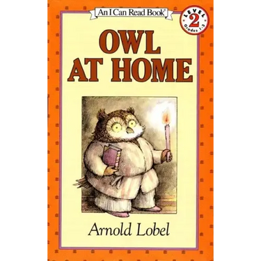 Owl at Home