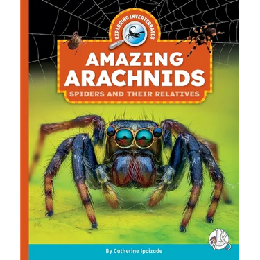 Amazing Arachnids: Spiders and Their Relatives