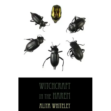 Witchcraft in the Harem